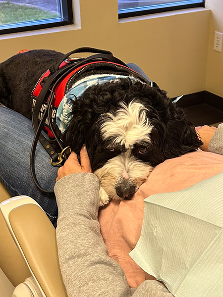 Kirchner Dental's new all-star employee!